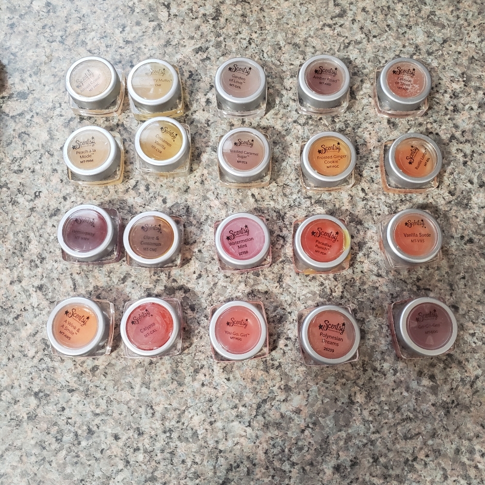 Scentsy Wax Melts (27 in total)